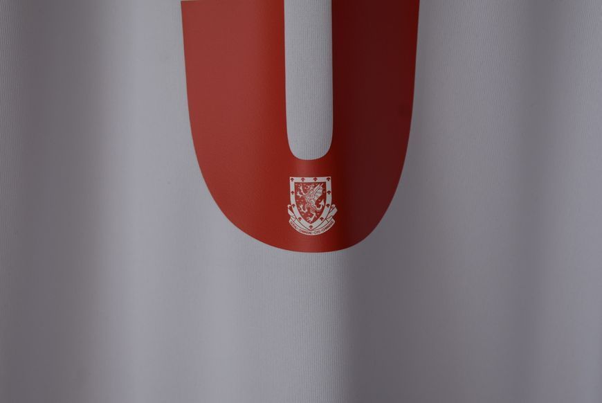 Walia 2008 wyjazdowa koszulka Champion w rozmiarze XXL (63,5x77cm) z numerem 3 na plecach(używany przez Gareth Bale) 4712 ZDJECIE