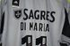SL Benfica 2024-2025 away shirt Adidas in size L with Angel Di Maria on the back 4857 PHOTO 4