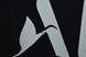 PLAYER ISSUE PSG Paris Saint Germain 2019-2020 fourth shirt Nike Jordan in size M with Kylian Mbapp&eacute; on the back 4814 PHOTO 6